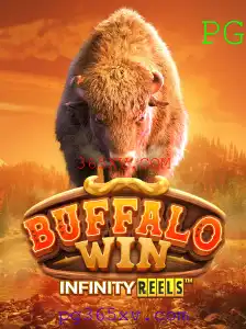 Descubra o Fascinante Mundo de BuffaloWin em 365XV.COM